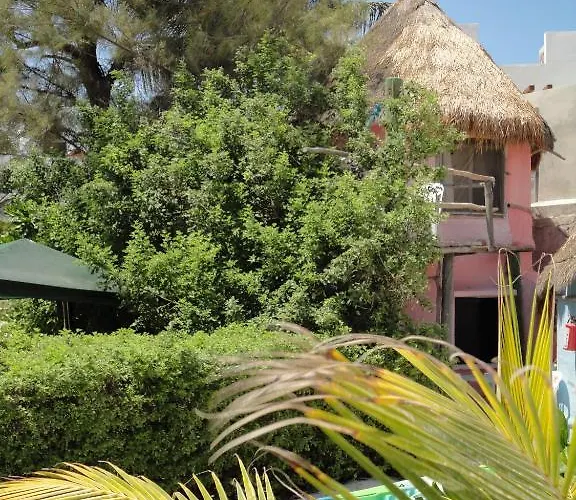 Hotel Acamaya Reef