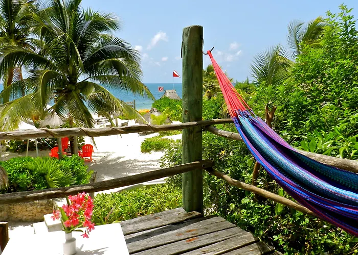 Hotel Acamaya Reef