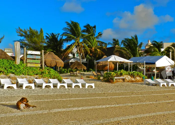 Acamaya Reef