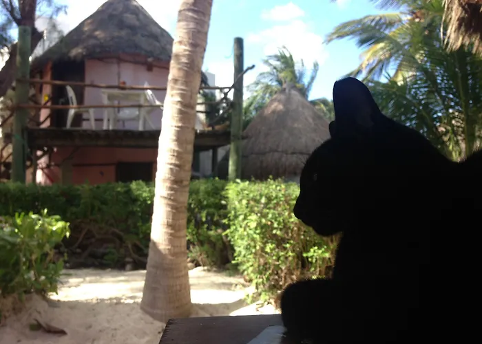 Acamaya Reef Hotel