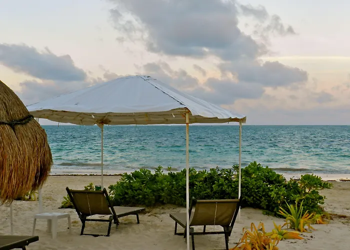 Hotel Acamaya Reef 3*