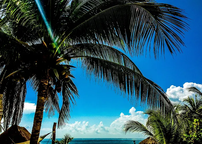 Acamaya Reef Hotel Puerto Morelos