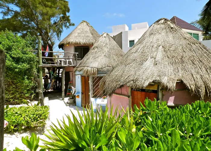 Acamaya Reef Puerto Morelos
