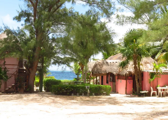 Acamaya Reef